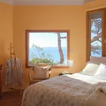 Soupicou Ferienhaus Hyères